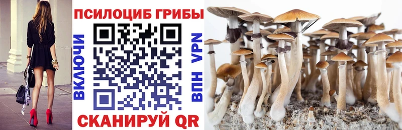 Псилоцибиновые грибы MAGIC MUSHROOMS  Купить где  Арск 